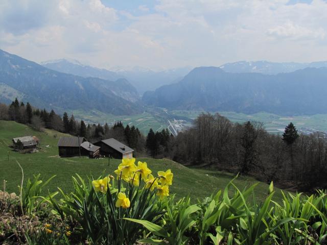 Aussicht von Spig aus gesehen, Richtung Chlus 1085 m.ü.M.