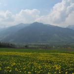 Blick Richtung Pizalun von Jenins aus gesehen