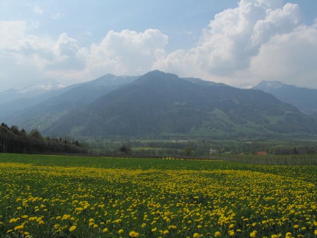 Blick Richtung Pizalun von Jenins aus gesehen