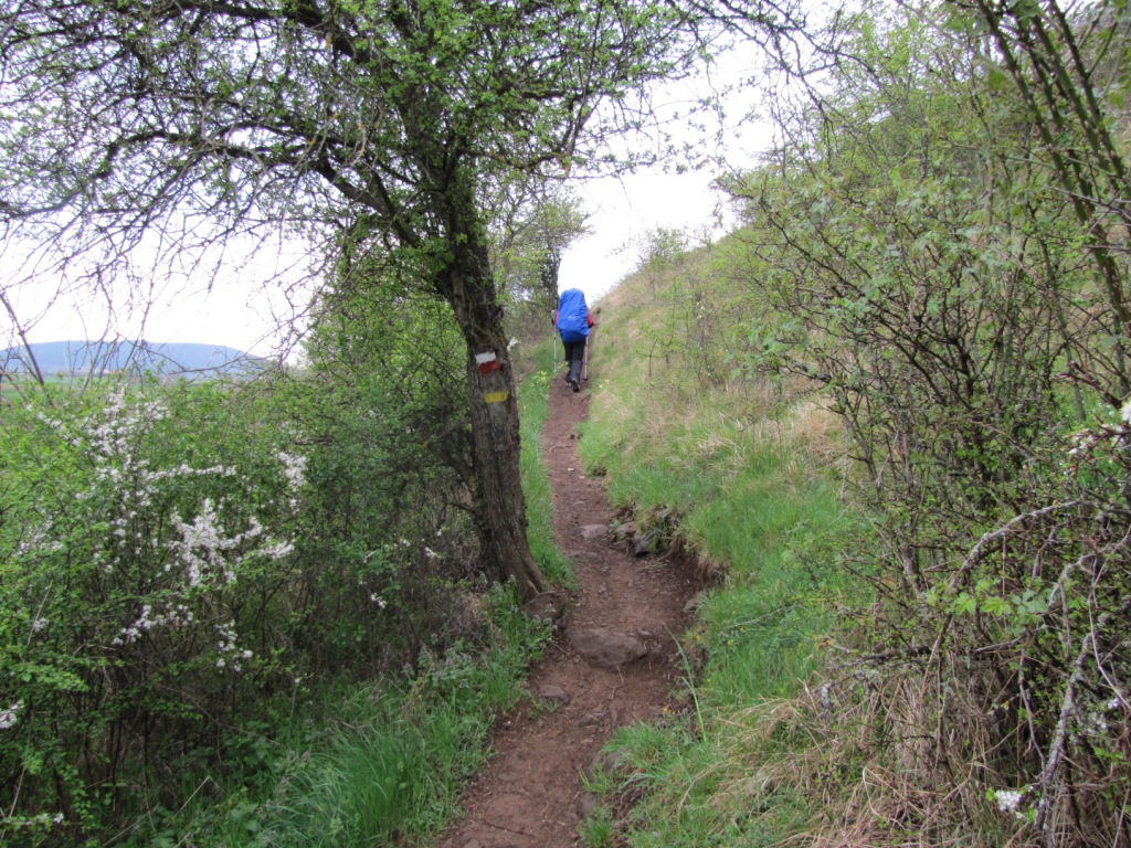 oberhalb der kleinen Schlucht vom Bachlauf der Roche