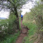 oberhalb der kleinen Schlucht vom Bachlauf der Roche