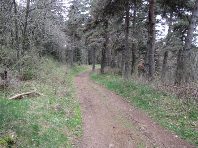 über Wälder führt uns der Weg weiter Richtung St.Privat d'Allier