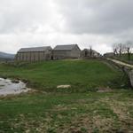 Blick zurück zur Domaine du Sauvage