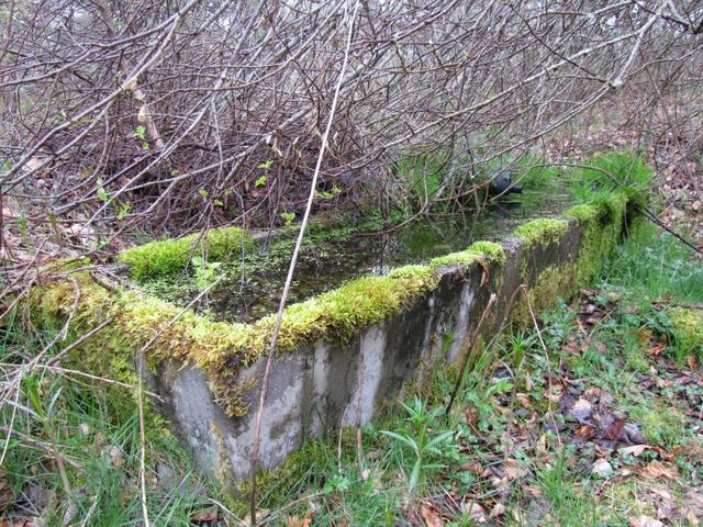 dieser Brunnen wurde schon lange nicht mehr benutzt