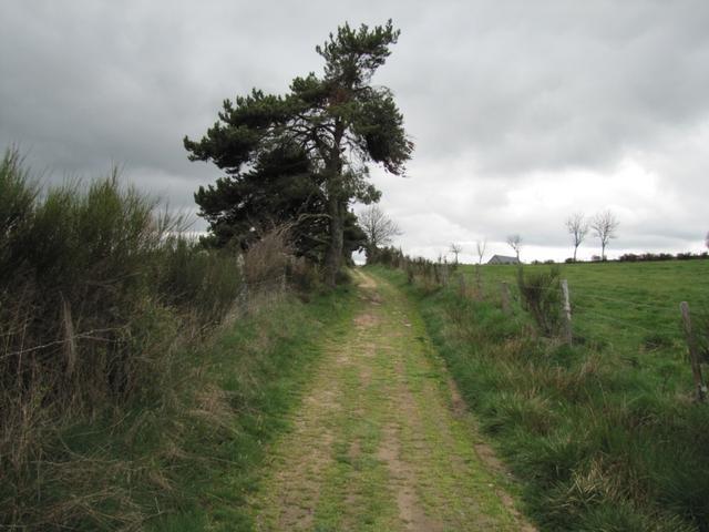 der Weg ist das Ziel