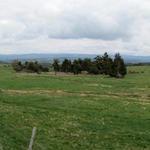 Breitbildfoto auf dem Weg nach Aumont-Aubrac bei der D7