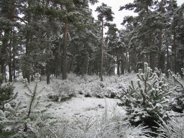 der Winter ist zurückgekehrt