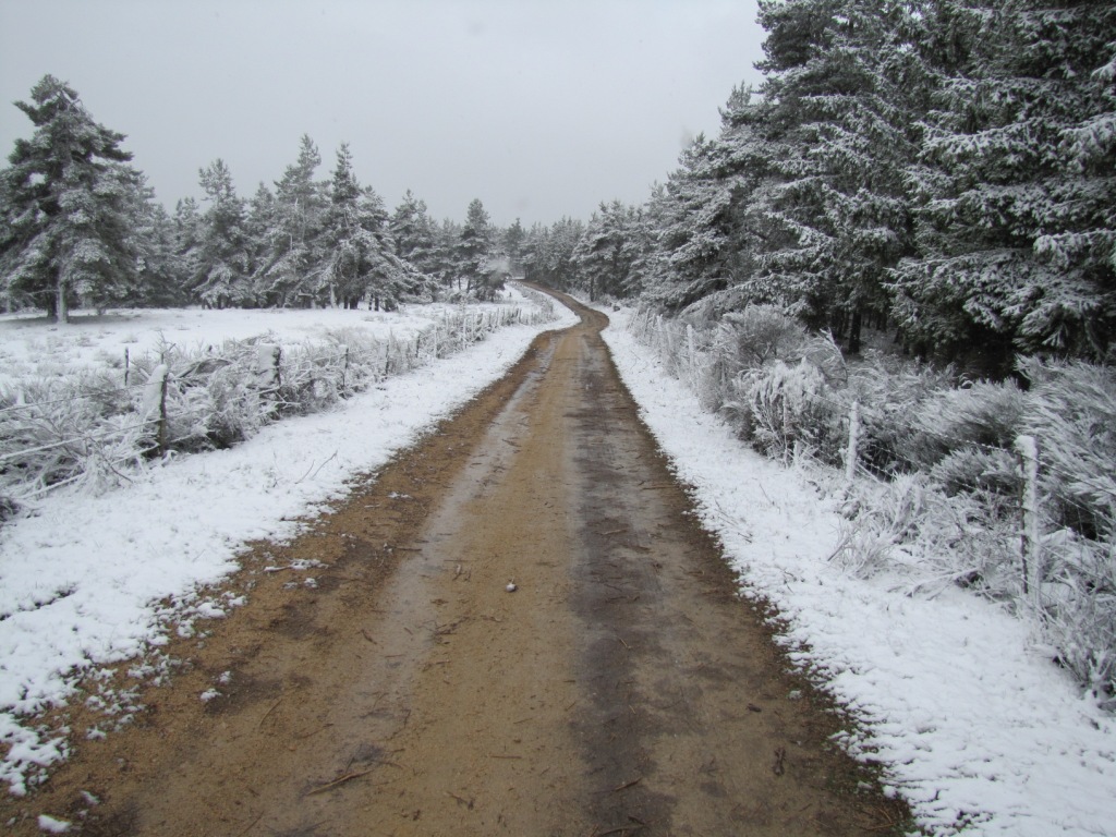 der Weg ist das Ziel