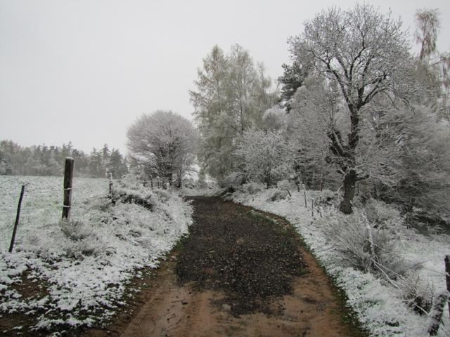 weiter geht es Richtung Les Quatre Chemin