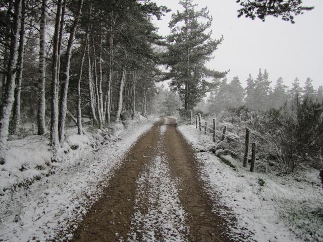 kurz vor Les Quatre Chemin