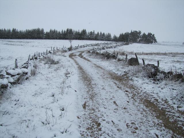 es schneit ununterbrochen