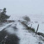 die Strasse wird wegen den Schneeschauern vom Schnee zugedeckt