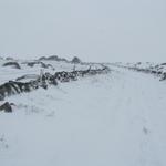 ein Weg der immer mehr durch Schnee bedeckt wird