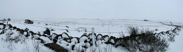 Breitbildfoto von den verschneiten Weiden des Aubrac