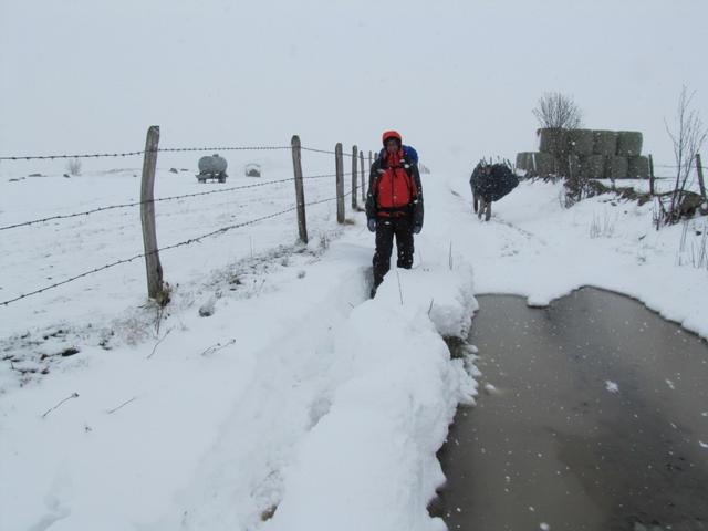 Mäusi sucht einen Weg zwischen Schneeverwehungen und Schlamm