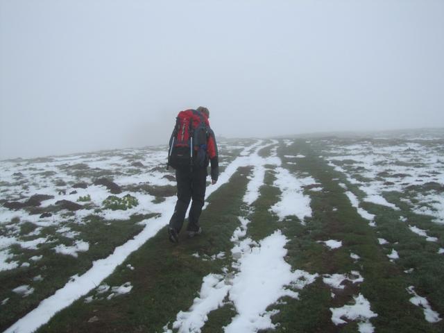 Mäusi schaut genau nach dem Weg. Im Nebel ein schwieriges Unterfangen