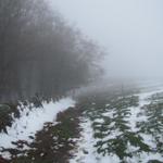 wegen dem Schnee sind die Markierungen nicht mehr gut sichtbar