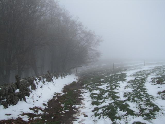 wegen dem Schnee sind die Markierungen nicht mehr gut sichtbar