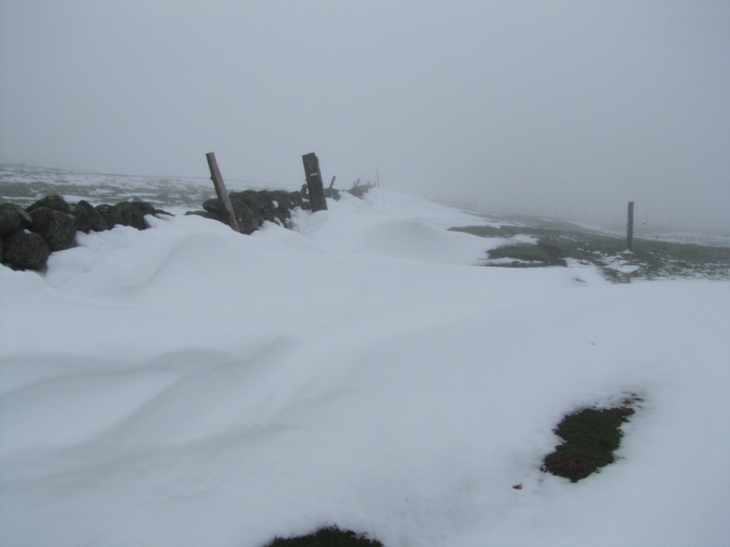 hier mussten wir unsere Wanderkarte und das GPS zu Hilfe nehmen