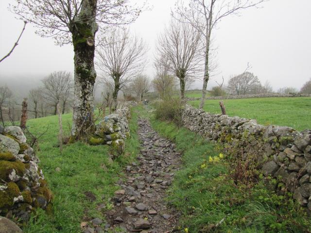 links und rechts säumen schöne Steinmauern den Weg