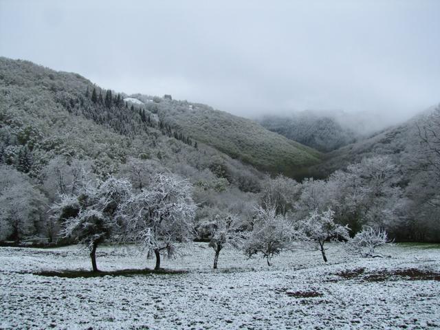 wer hätte gedacht, das es in der Nacht nochmals schneit