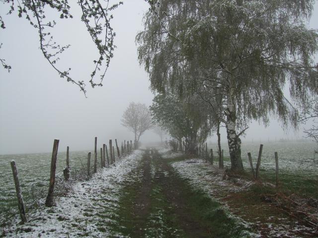 der Weg ist das Ziel