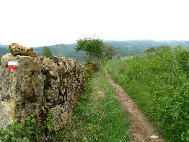 auf schönem Pfad geht es Richtung St.Côme d'Olt