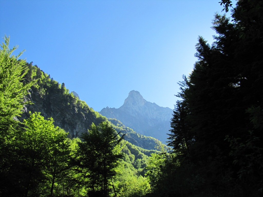 Blick rauf zum Glegghorn