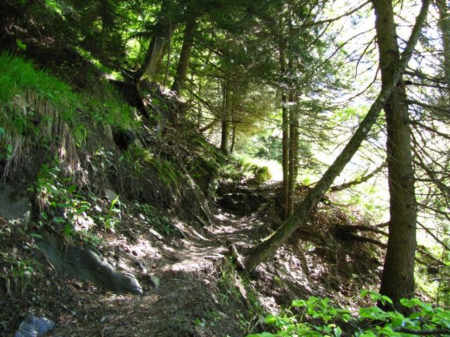 führt der Pfad steil aufwärts zur Enderlinhütte