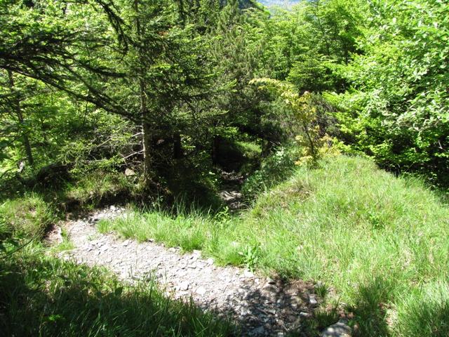 kurz vor dem Lochrüfibach