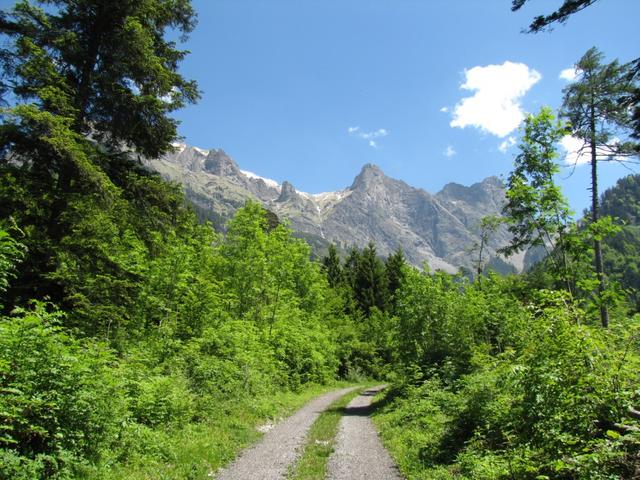 dort oben waren wir. Gut sichtbar der Fläscher Fürggli. Dort waren wir auch schon