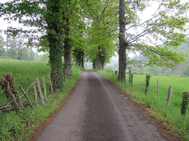 auf dem Weg nach Bessuéjouls