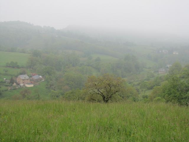 ein nebliger Tag, aber zum Glück kein Regen