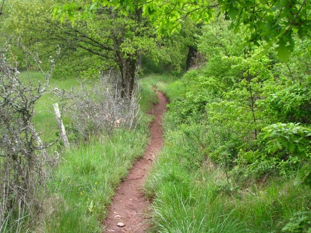 auf einem schmalen Pfad führt nun der Weg aufwärts