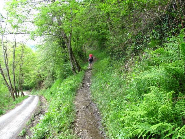 nach La Roquette führt der Weg steil aufwärts Richtung La Sansagnerie