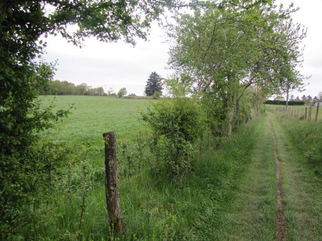 auf dem Weg nach Les Albusquiès