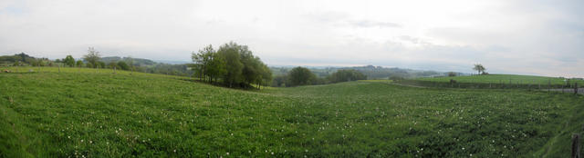 Breitbildfoto auf dem Weg nach Espeyrac