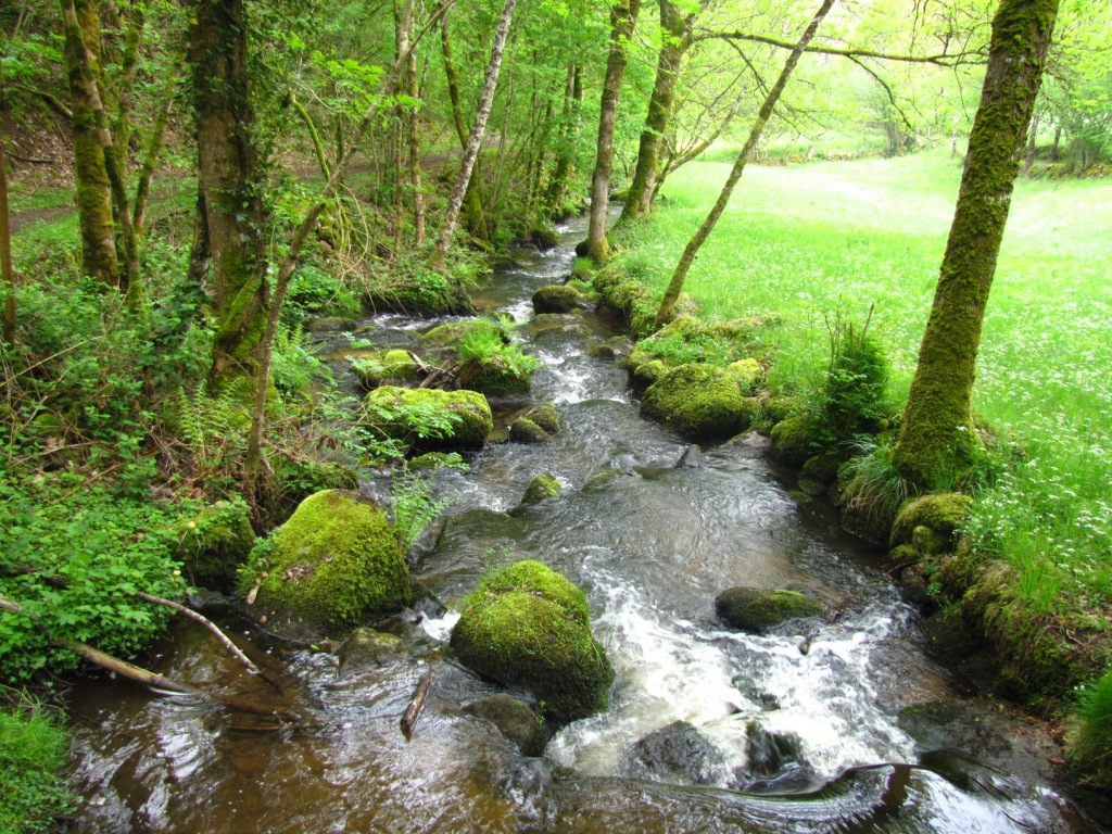 schöner Bachlauf