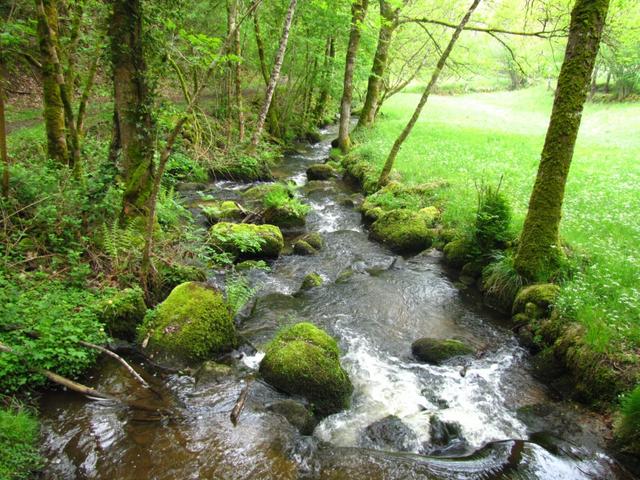 schöner Bachlauf