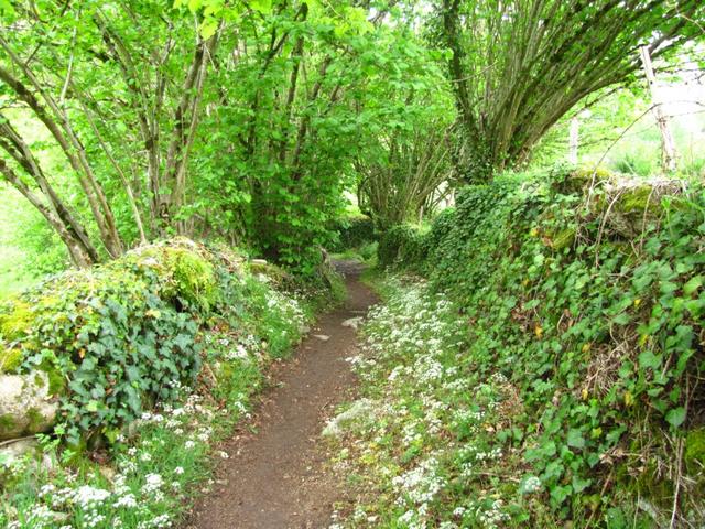 schöner Wanderweg, kurz vor Espeyrac