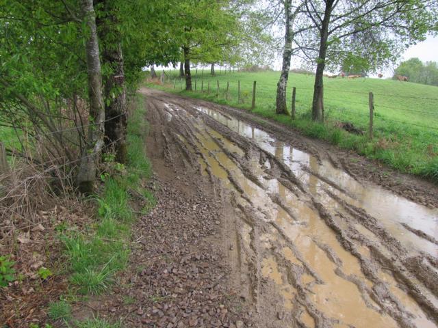 wieder einmal hat sich der Weg in ein Schlammloch verwandelt