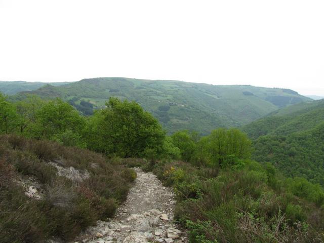 Blick zurück, dort unten im Tal liegt Conques