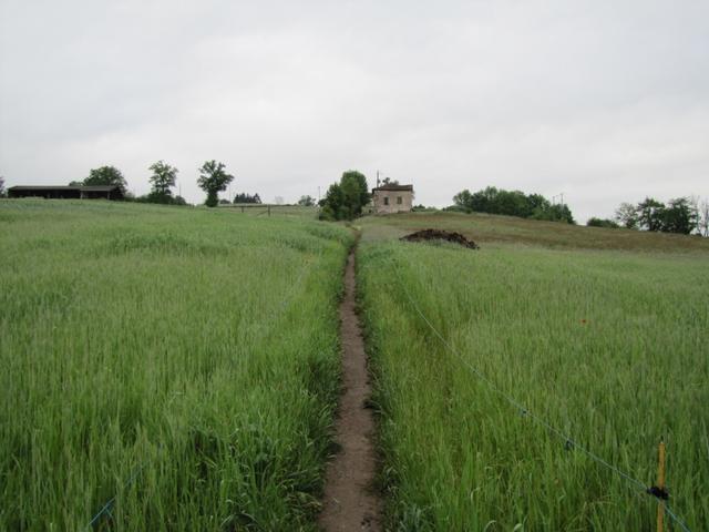 wir haben Livinhac le Haut verlassen und sind auf dem Weg nach Pérols