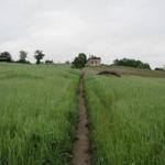 wir haben Livinhac le Haut verlassen und sind auf dem Weg nach Pérols