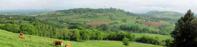 Breitbildfoto der Hügellandschaft