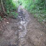 schlammige Pfade auch heute wieder