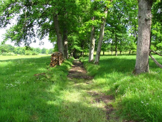 super Wetter, schöner Wanderweg, was will man noch mehr