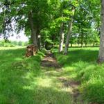 super Wetter, schöner Wanderweg, was will man noch mehr