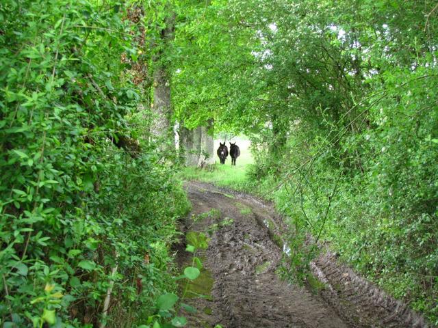 zwei Gestalten warten schon auf uns