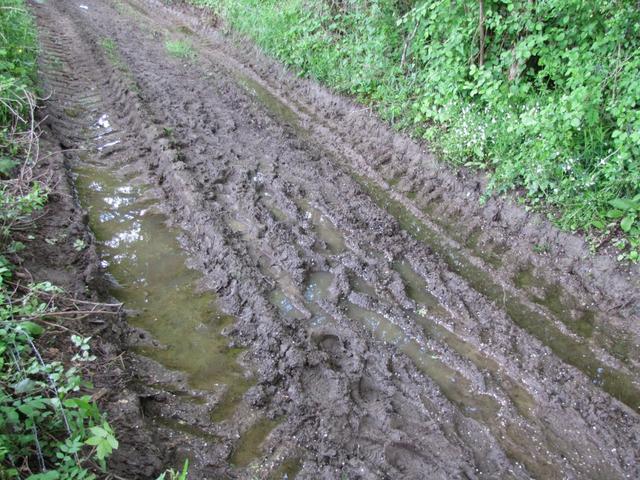 überall Schlamm, so ist das Laufen mühsam